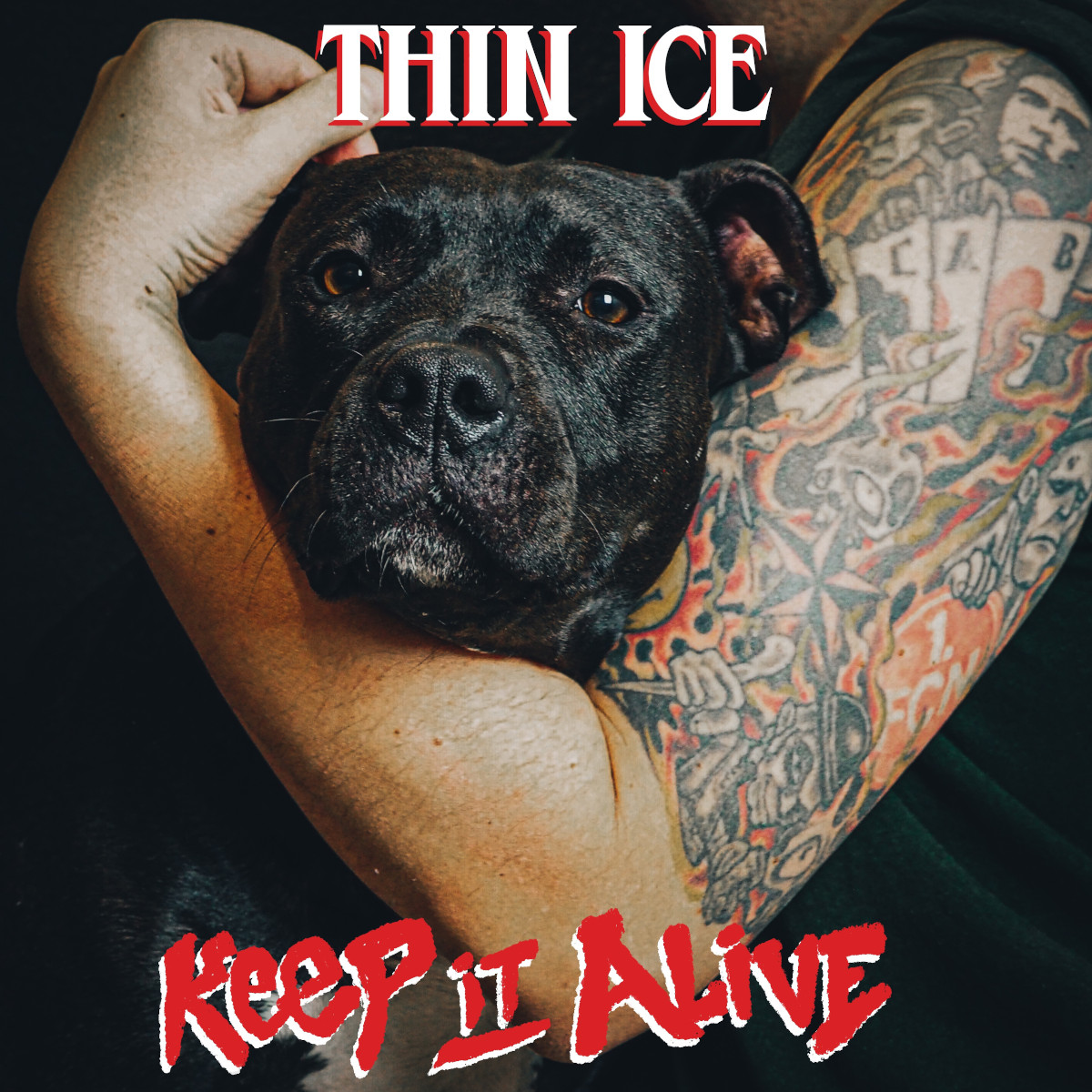 THIN ICE - Keep It Alive [Vinyl Sheer Terror Rip-Off]